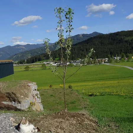 Hoamatgfühl Apartamento Flachau